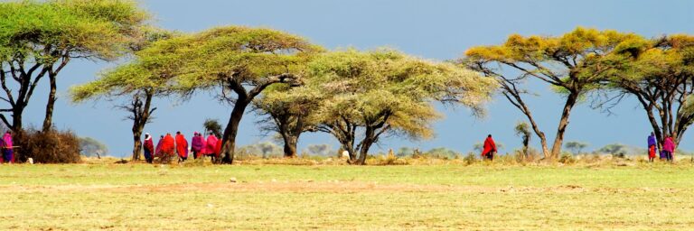 3 Days to Arusha & Lake Manyara & Tarangire