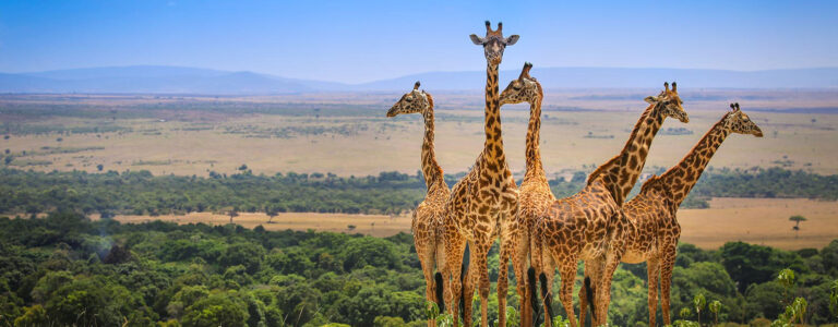 4 Days Safari to Serengeti, Lake Eyasi & Ngorongoro