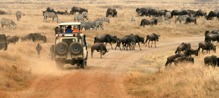 4 Days Special Ndutu and Ngorongoro, Serengeti Safari