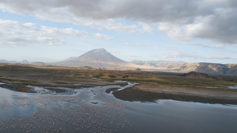 7 Days Widlife Safari and Lake natron Tour
